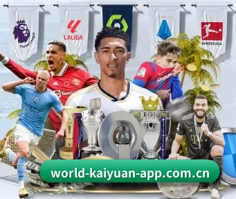 开元体育客户端下载 APP