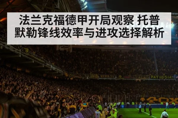 football stadium night crowd
